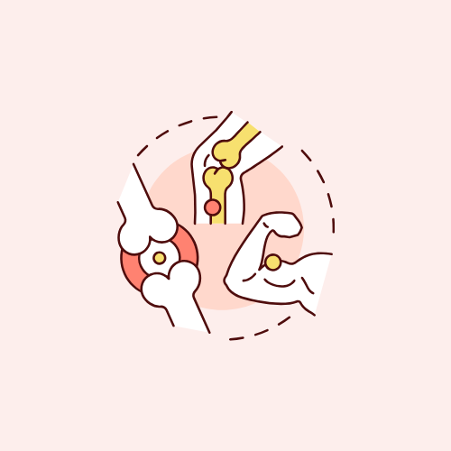 Bones & Muscles